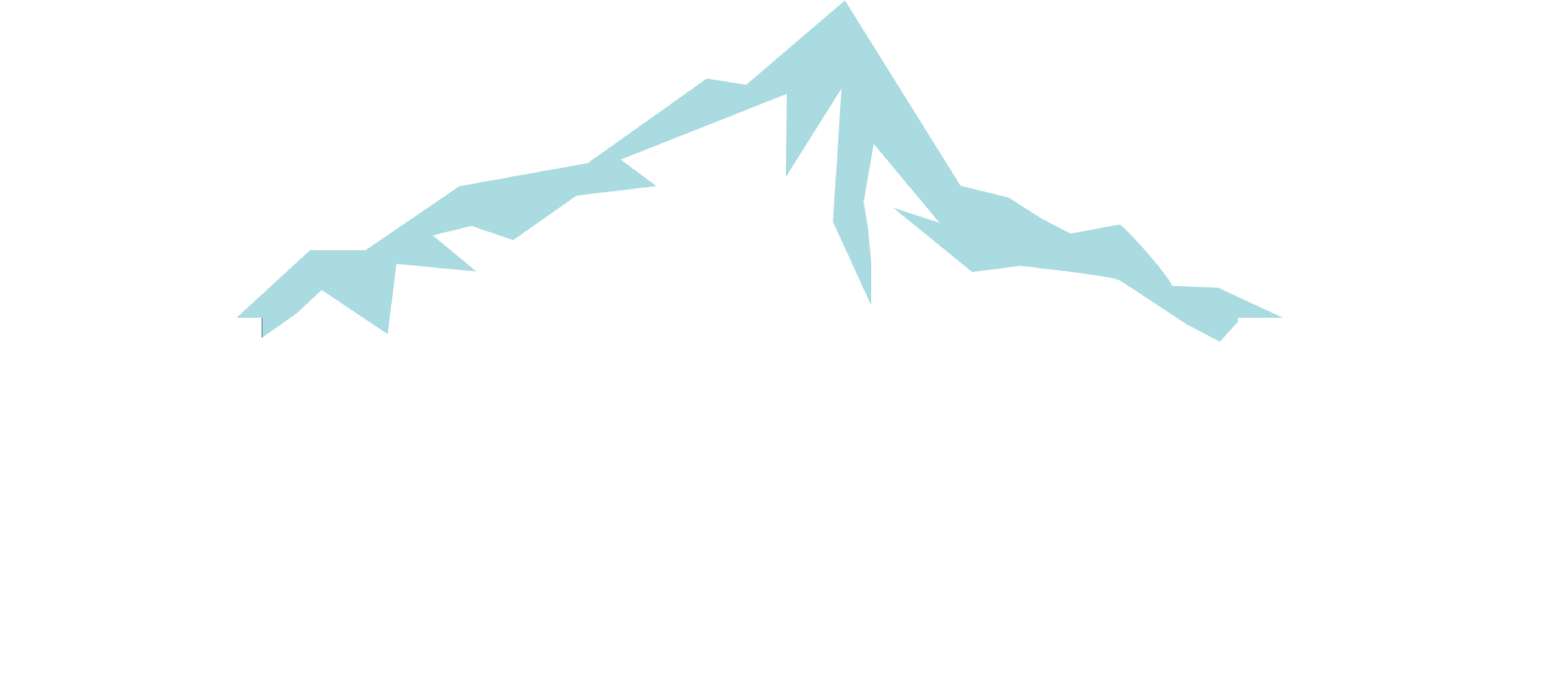 Pinnacle Integrative Orthopedics